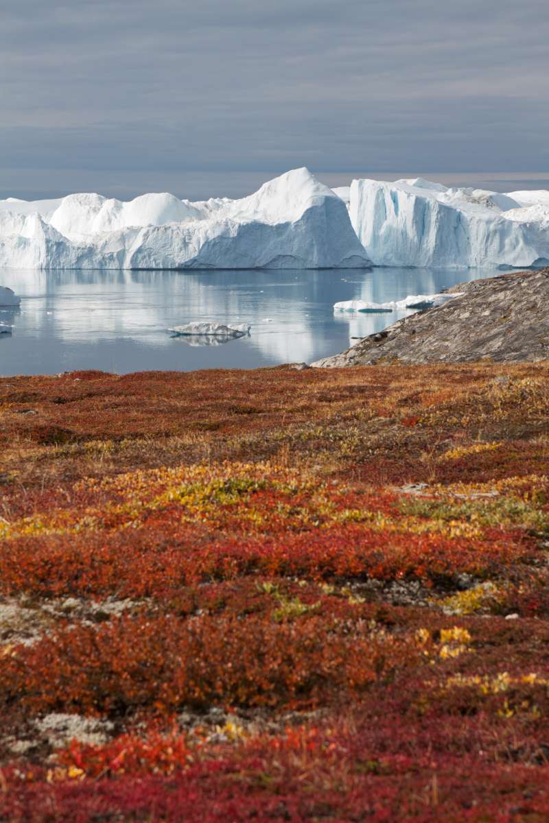 Grønland - Ilulissat